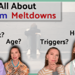 meltdown-autism
